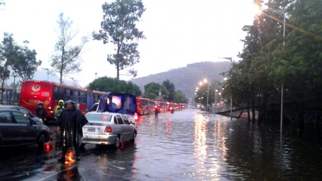 11 luvia.jpeg